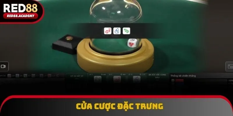 Một vài dạng cược đặc trưng thường xuyên áp dụng trong game