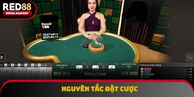 Nguyên tắc đặt cược cơ bản của game casino hấp dẫn
