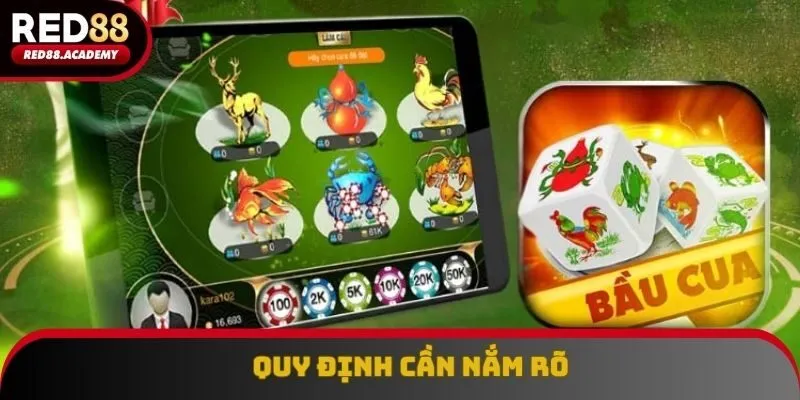 Quy định cần nắm rõ Quy định cần nắm rõ