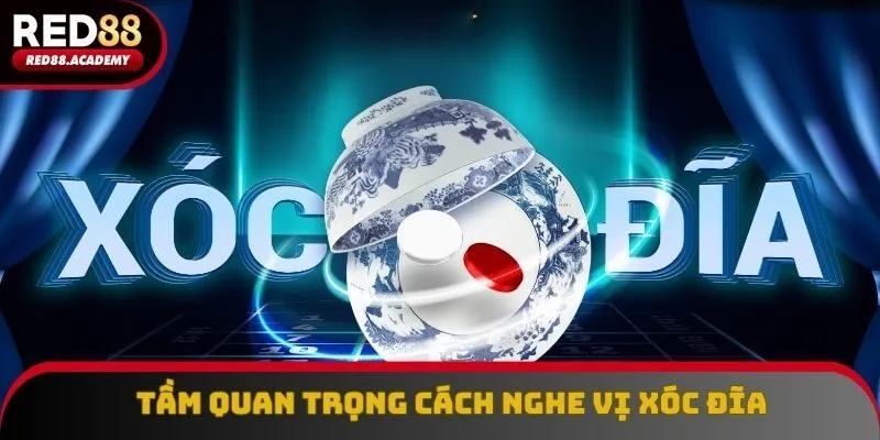 Tầm quan trọng cách nghe vị xóc đĩa Tầm quan trọng cách nghe vị xóc đĩa