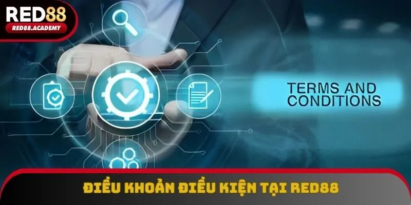 Điều Khoản Điều Kiện RED88 - Tổng Hợp Nội Dung Quan Trọng