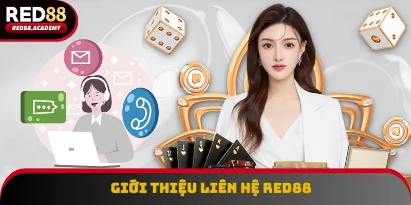 Tổng quan dịch vụ liên hệ RED88