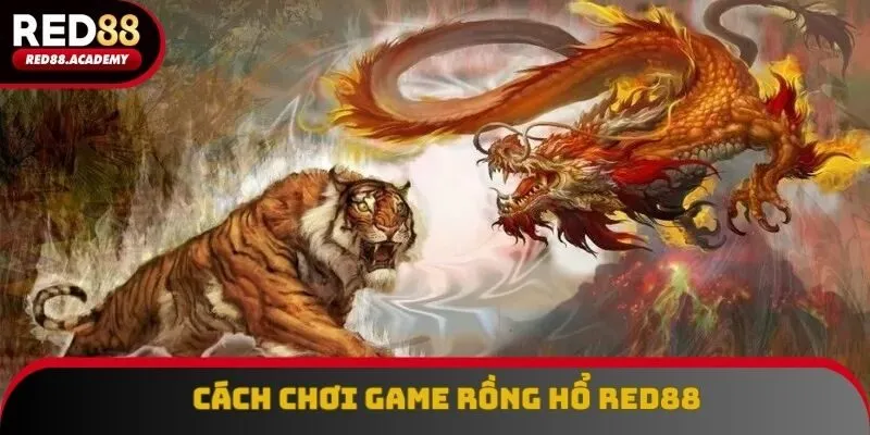 Cách chơi game rồng hổ RED88 cực kỳ chi tiết cho người mới
