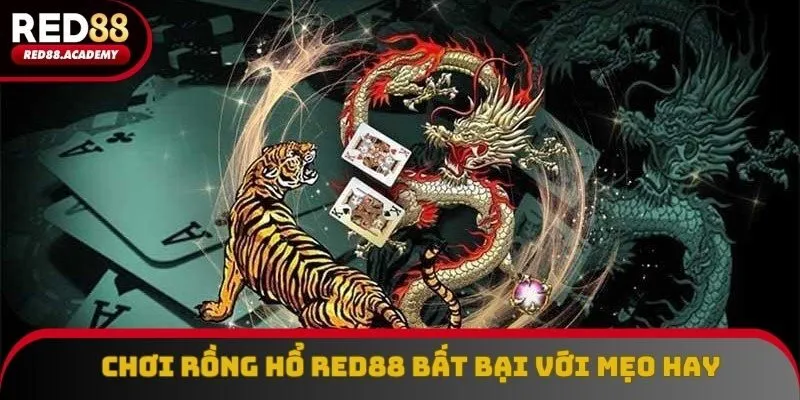 Chơi rồng hổ RED88 bất bại với chiến thuật đúng đắn