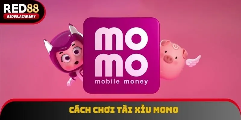 Hướng dẫn tham gia tài xỉu momo dễ hiểu với 4 bước