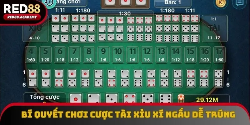 Bí quyết chơi cược tài xỉu xí ngầu dễ trúng