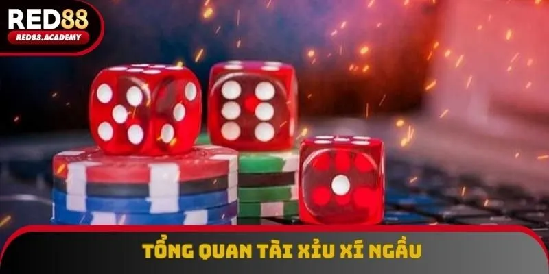 Tổng quan tài xỉu xí ngầu