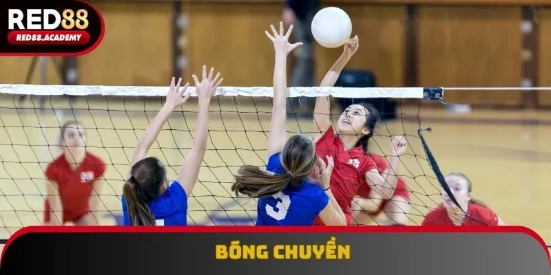 Bóng chuyền không làm thất vọng với nhiều trận mãn nhãn