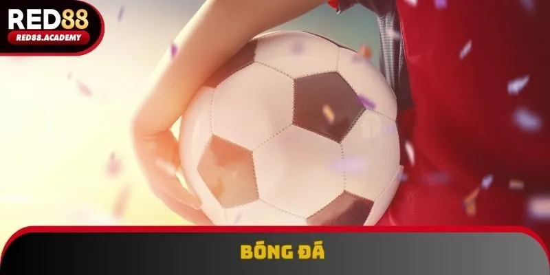 Bóng đá là bộ môn được nhiều chuyên gia đánh giá cao, yêu thích