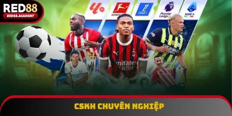 Đội ngũ tư vấn viên của thể thao RED88 được đào tạo chuyên nghiệp