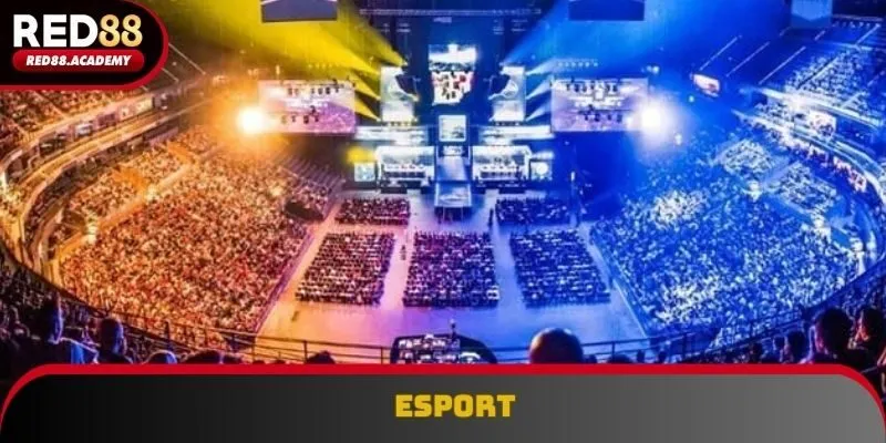 Esport được nhiều thành viên săn lùng, lựa chọn tham gia
