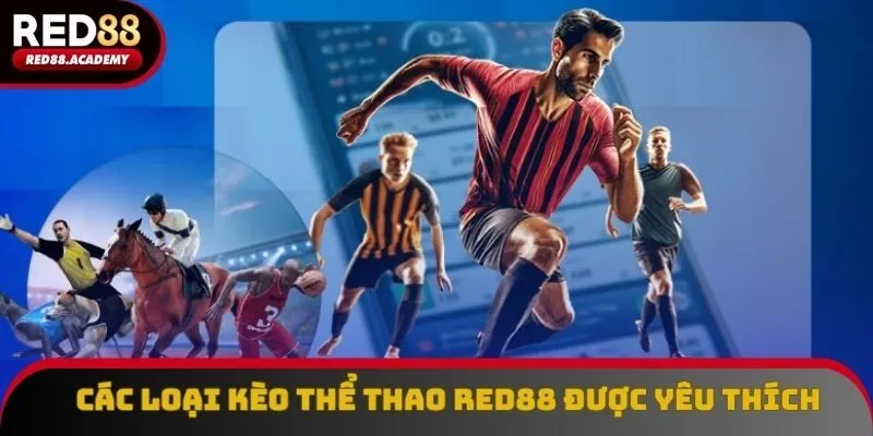 Một số loại kèo phổ biến, được chuyên gia đánh giá cao