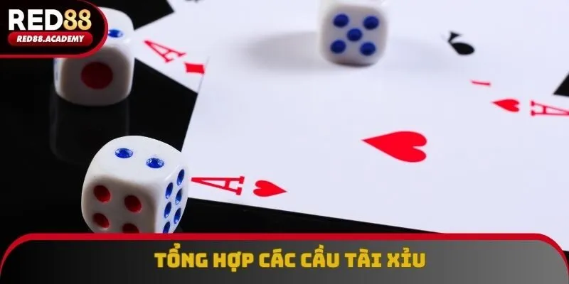 Nguyên nhân cần phải ghi nhớ tổng hợp các cầu tài xỉu