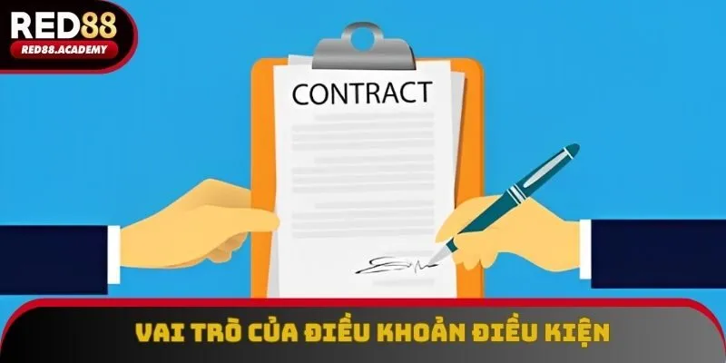 Điều khoản và điều kiện mang ý nghĩa quan trọng